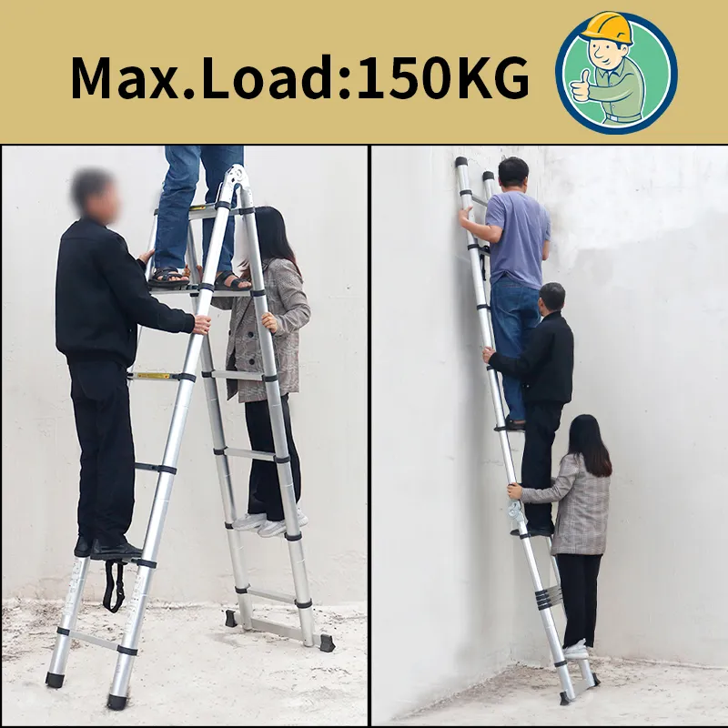 multi-purpose ladder