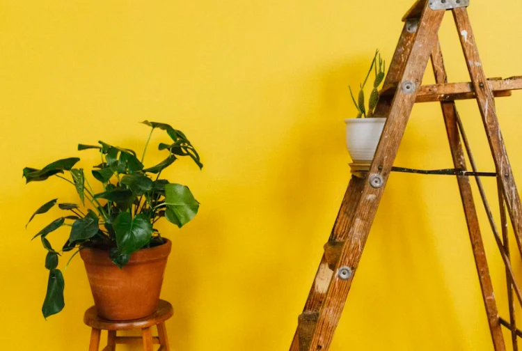 Household Ladder Type Selection Height, Stability and Storage Checks